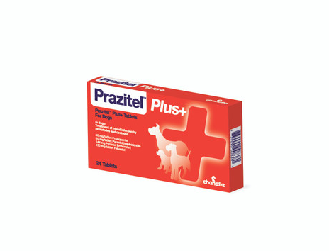 Prazitel Plus+ Flavoured Dog Wormer Tablets